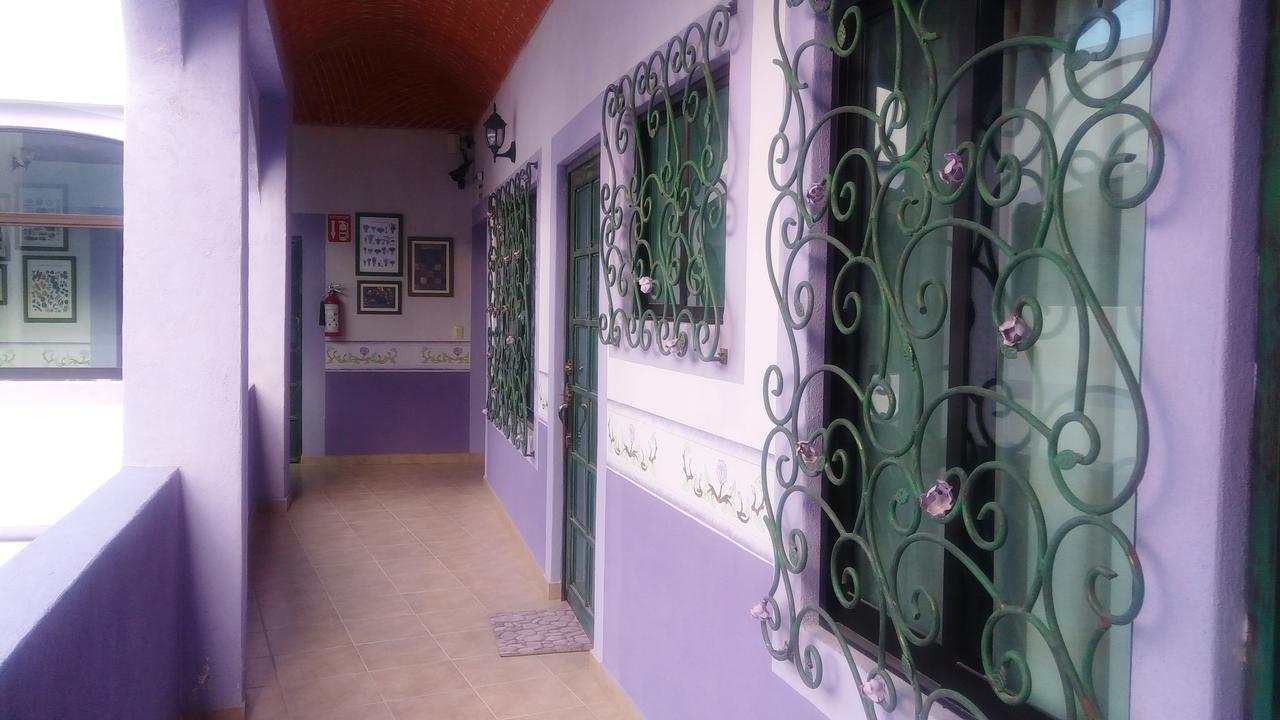 Hotel Vida En Rosas Bernal Exterior photo